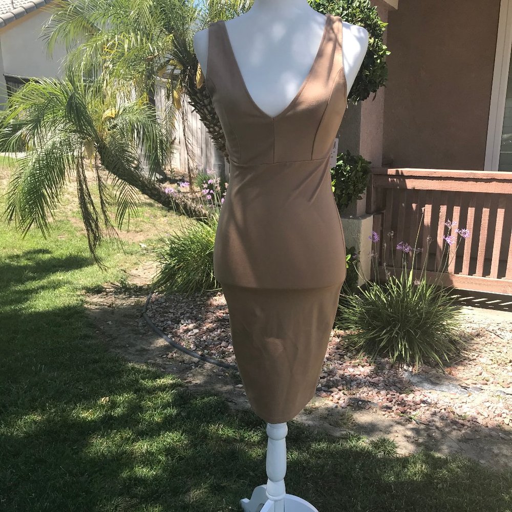 Windsor Beige Dress